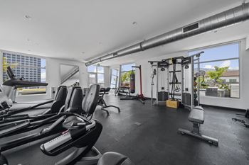 Maia avira at glendale state of the art fitness center
